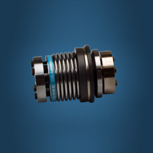 �㱳϶���y���S��